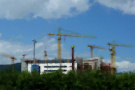 Cranes 3