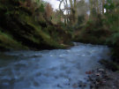 Crawfordsburn Country Park River, County Down, Northern Ireland