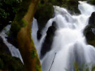 Crawfordsburn Country Park Waterfall 3, County Down, Northern Ireland