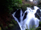 Crawfordsburn Country Park Waterfall 4, County Down, Northern Ireland