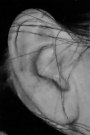 Human Ears