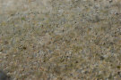 Granite Texture 2