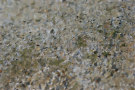 Granite Texture 3