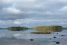 Islands Near Greyabbey (Strangford Lough With Calm Waters For A Change!)