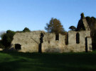 Grey Abbey Ruins 5, County Down, Northern Ireland