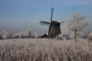 Winter In Holland 2
