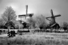 Winter In Holland 6