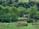 Irish Countryside 3