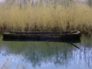 Megalithic Canoe - Wexford - Ireland