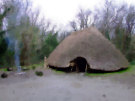 Megalithic Settlement - Wexford - Ireland