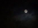 Moonlight 10