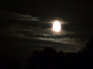 Moonlit Night Sky
