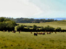 View Of Strangford Lough From Mountain Road, Ards Peninsula (Painted Effect Created In Paint Shop Pro) - Ireland