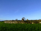 Nendrum Abbey Ruins 2, County Down, Northern Ireland