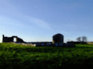 Nendrum Abbey Ruins 6, County Down, Northern Ireland