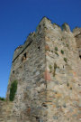 Portaferry Castle 6