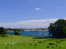 View Of Portaferry From Across The Lough Near Castleward 3
