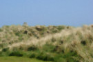 Sand Dune 2