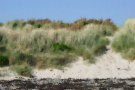 Sand Dune 4