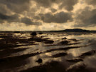 Scrabo Tower Beach