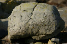 Stone 3