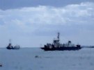 Strangford Ferries