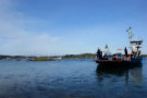 Strangford Ferry 3