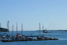 Strangford Ferry 4 (With Marina In Foreground)