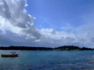 Strangford Lough