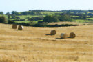 Straw Bales 3