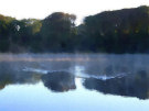 Swan Lake - Greyabbey 2 (With Morning Mist)