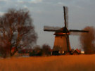 windmill 8